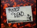 view Punk's Not Dead