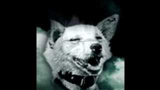 Watch Cardiacs Fairy Mary Mag video