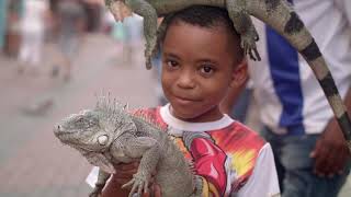 In Curacao Culture Travel Video
