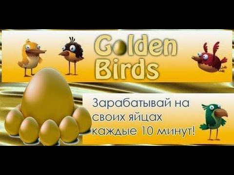 Игра птички заработай на своих яйцах Игра птички заработай на своих яйцах