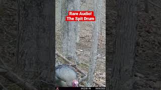 Turkey Spit Drum