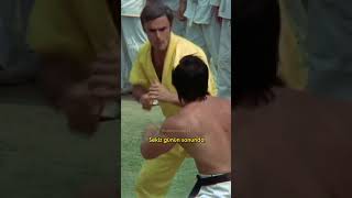 Artık Karate Filmi Yapmaktan Bıkmıştım