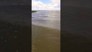 Latvia. Озеро Буртниекс. После Сильных Дождей.