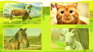 Развивающие Мультики Животные На Ферме Для Детей Звуки Животных Домашние Животные Учим Животных