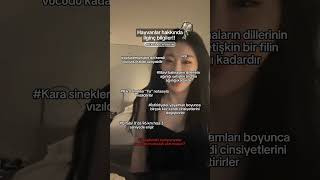 Taş Gibi Video-Ezgi Viral
