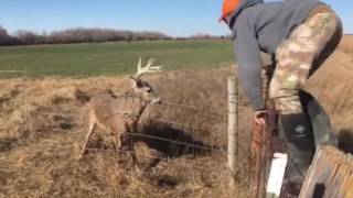 KS Deer Rescue