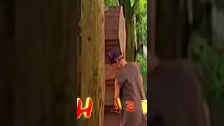 Angling Dharma Short