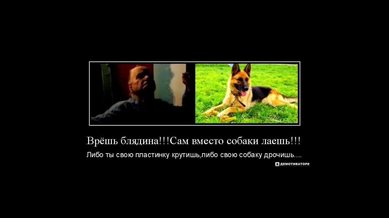 Дрочу Псу Форум
