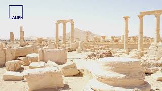 Protecting Palmyra Aliph Visit To The Ancient Syrian Site With Authorities