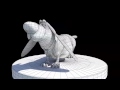 Doggy Dog topology