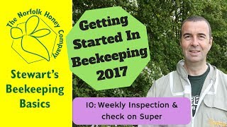 Weekly Inspection of Beginner Beehive and Checking Super for Nectar Flow