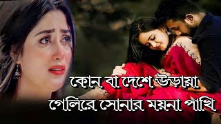 কোন বা দেশে উড়ায়া গেলিরে সোনার ময়না পাখি | Amar Sonar Moyna Pakhi | আমার সোনার ময়না পাখি পল্লীগীতি