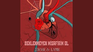 Beklenmeyen Misafirim Ol