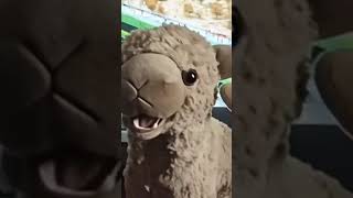 Живая Игрушка