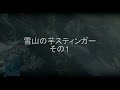 bf3