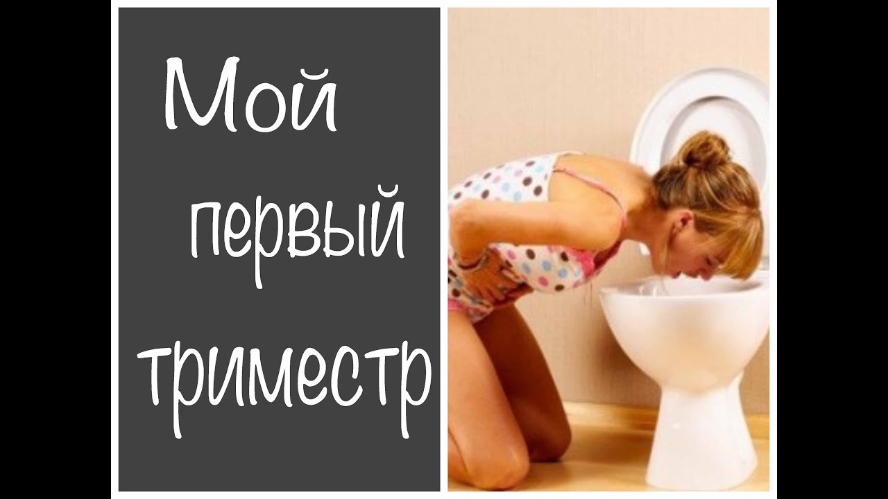 Противорвотное беременным 1 триместр 549 Противорвотное беременным 1 триместр 1044
