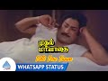 Vetti Veru Vasam Song Whatsapp Status | Muthal Mariyathai Movie Songs | Sivaji | Radha | Ilayaraja