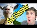 Goat simulator!!