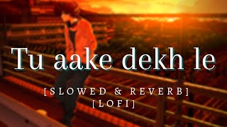 King~Tu Aake Dekh Le - Lofi [Slowed+Reverb]