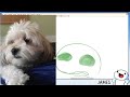 Drawing New Pokemon Types w/Jaiden Animations
