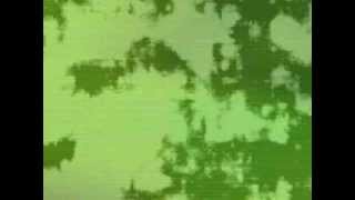 Watch Robert Burns Raving Winds video