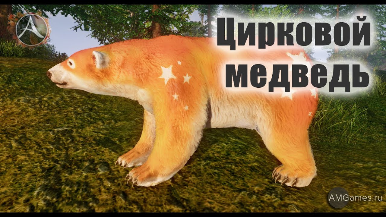 Как сделать медведя в архейдж Как сделать медведя в архейдж