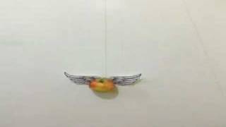Apple Angel 2