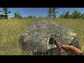 rust