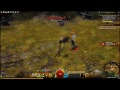 Guild Wars 2: Human, Norn and Charr Elite Skills