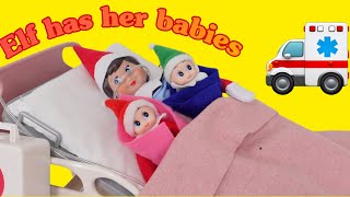 Elf On The Shelf has her babies