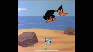 Daffy Duck Mad Face