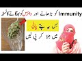 How to boost immunity in Urdu | Health benefits of oregano leaves
