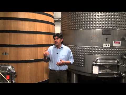 Gustavo explains wood vs stainless steel tanks