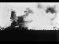 Clair Obscur - " blume "