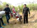 Charthawal Boys In Jungal Sarfaraj Charthawal Muzaffarnagar Boy images Charthawal Boys In Jungal Sarfaraj Charthawal Muzaffarnagar Boy
