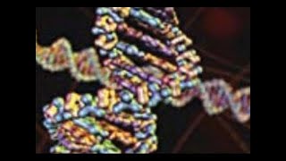 De genen van genesis / Het Genesis conflict - Walter Veith (5/8)