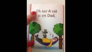 SSP Snap and Crack - Focus on Punctuation- Pocket Rockets