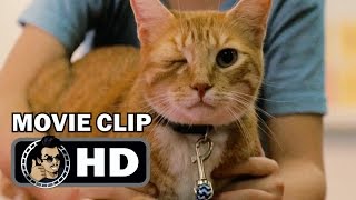 GIFTED Movie Clip - One Eyed Cat (2017) Chris Evans Drama HD