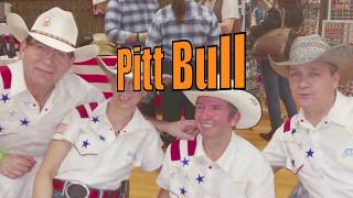 PITTBULL - thierry HERSENT & Michel EMORINE