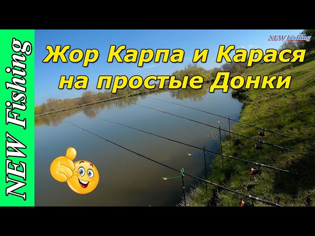 Жор Карпа и Карася на донки! Простая рабочая КАША для донок!