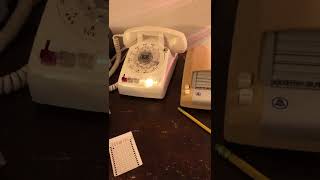 Magicall Auto Dialer Calling Time And Day