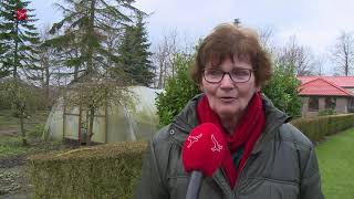 Heksenkruid Staat Er Gekleurd Op