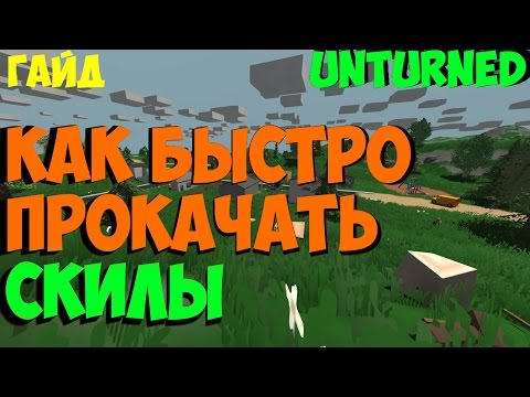 Для чего кожа в unturned Для чего кожа в unturned