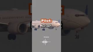 Penger Falls Out Of Plane Mid-Flight
