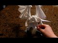 1 - Divine Dragon (Bahamut)-Satoshi Kamiya