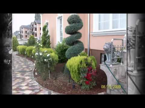 Bujar Sulejmani Kopshti I Shtepise 2009 Doovi Bujar Sulejmani Kopshti I Shtepise 2009 Doovi