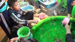 Ko Lanta night market and festivities, Thailand