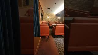 Flyin Time Again Annex At Still Dismal But Lounge Is Nice ... Cute Sandwiches
