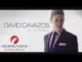 DAVID CAVAZOS - YOLANDA (TE AMO) J2014