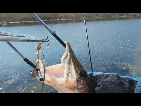 видео ловля на спиннинг ультралайт видео ловля на спиннинг ультралайт